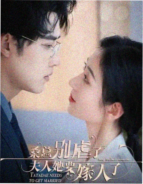 免费高清视频《梧桐巷十七号》
